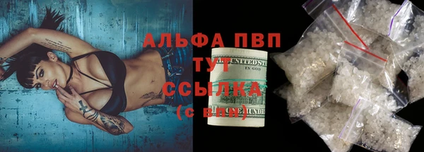стаф Белокуриха