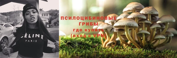 стаф Белокуриха