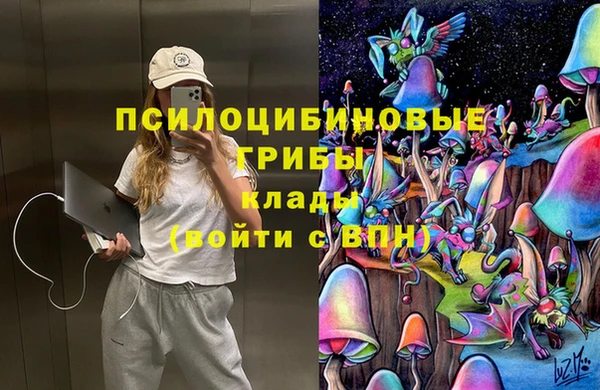 ПСИЛОЦИБИНОВЫЕ ГРИБЫ Семикаракорск