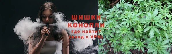 стаф Белокуриха