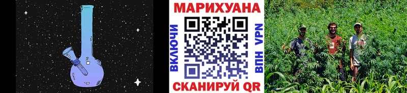 где найти   Енисейск  Каннабис Amnesia 